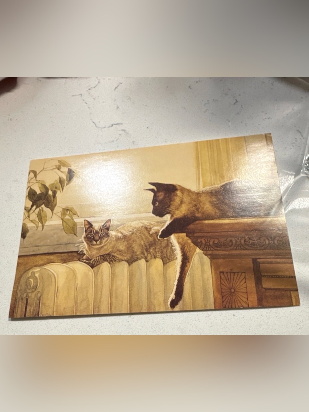Decorative Cat Wall Art Print in Brown and Cream